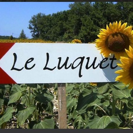 Gite Le Pigonnier Ecogite Le Luquet Saint Beauzeil 82150 외부 사진