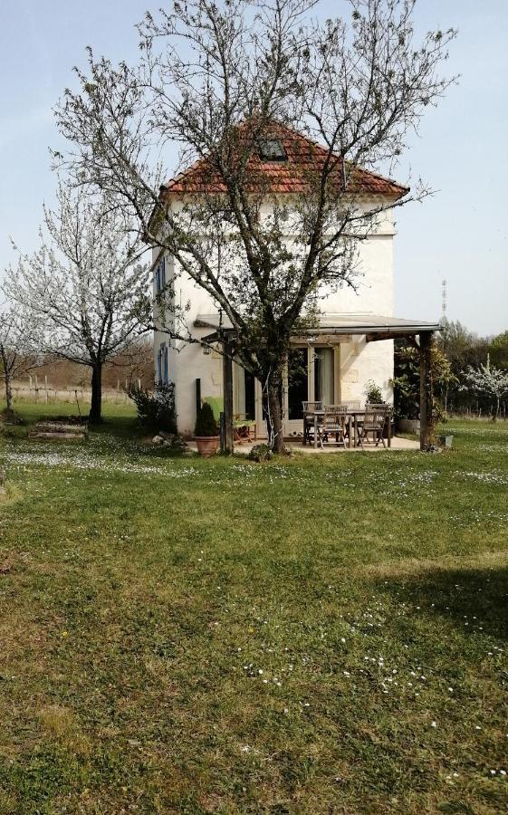 Gite Le Pigonnier Ecogite Le Luquet Saint Beauzeil 82150 외부 사진