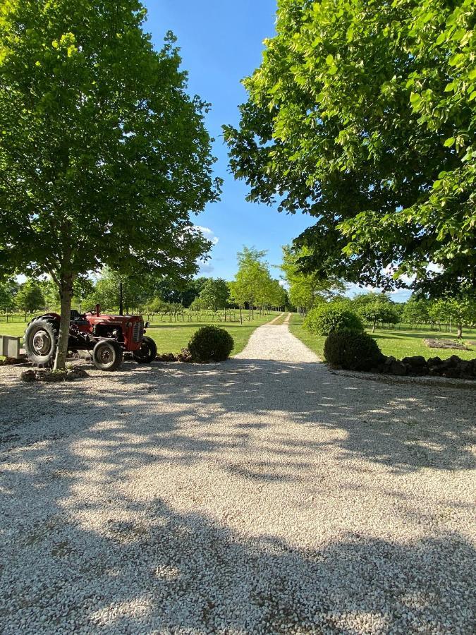 Gite Le Pigonnier Ecogite Le Luquet Saint Beauzeil 82150 외부 사진